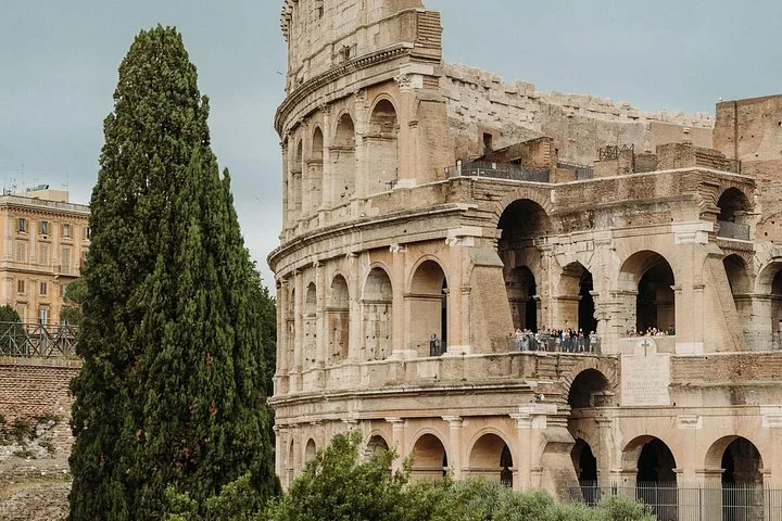 The Colosseum facade rises beside a tall cypress tree.