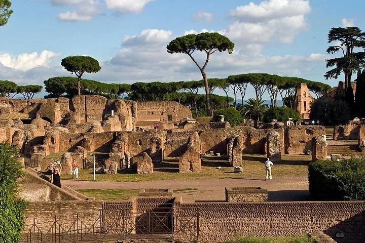 Palatine Hill ruins and umbrella pines