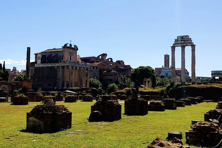 Temple columns and grassy ruins in the Roman Forum