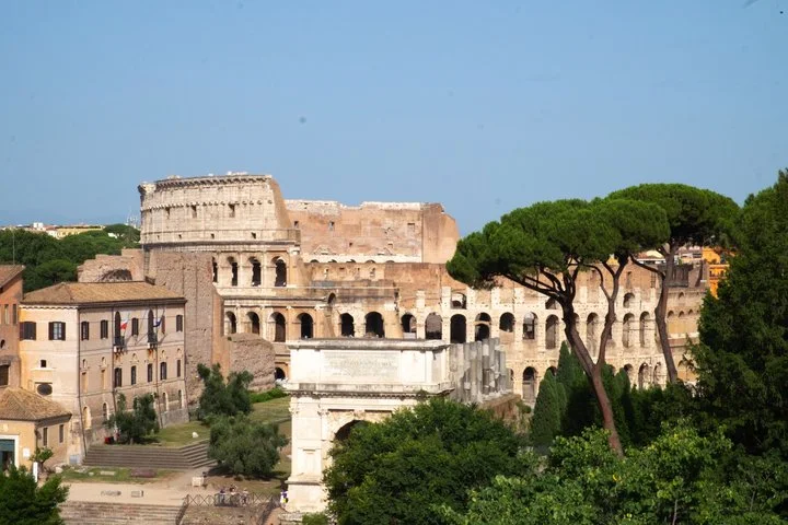 Colosseum exterior seen beyond Forum ruins and umbrella pines