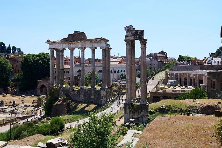 Temple columns and green ruins in the Roman Forum