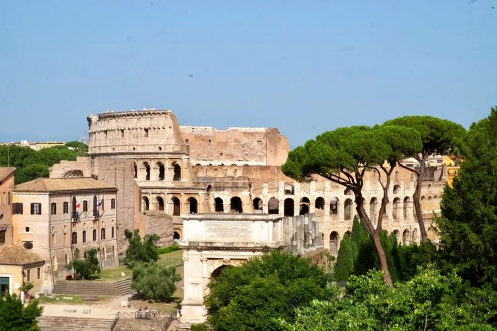 Colosseum exterior seen beyond Forum ruins and umbrella pines