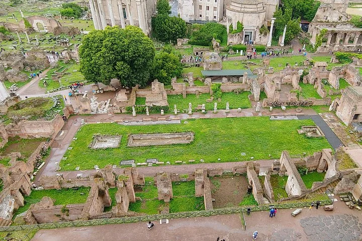 Green Roman Forum foundations viewed from above