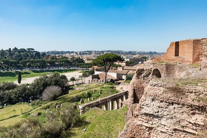 Ancient palace walls above green Palatine Hill terraces