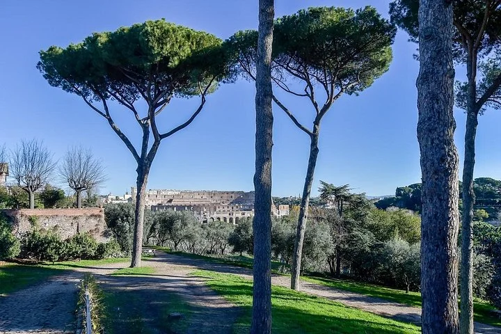 Umbrella pines and green paths on Palatine Hill