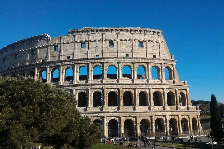 Sunlight brightens the Colosseum facade beside green trees.