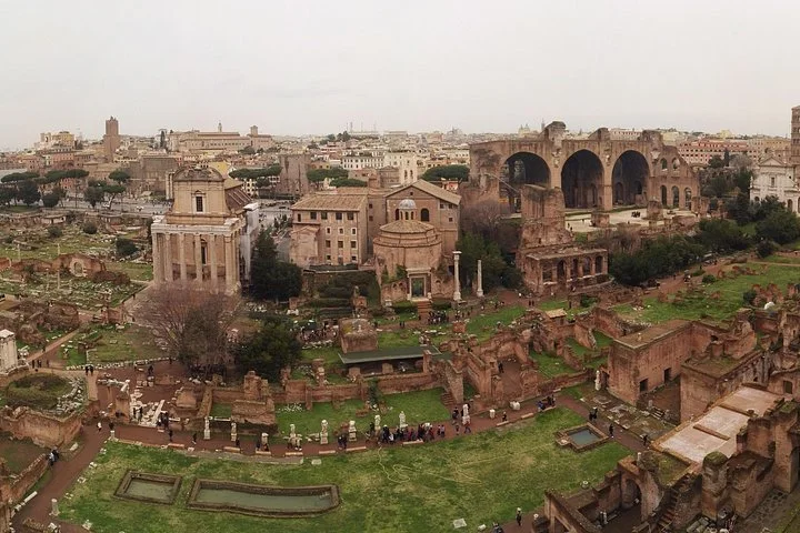 The Roman Forum's temples and green ruins spread below Palatine Hill.