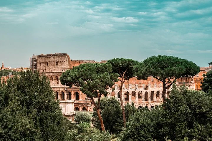 Colosseum arches beyond Rome’s umbrella pines