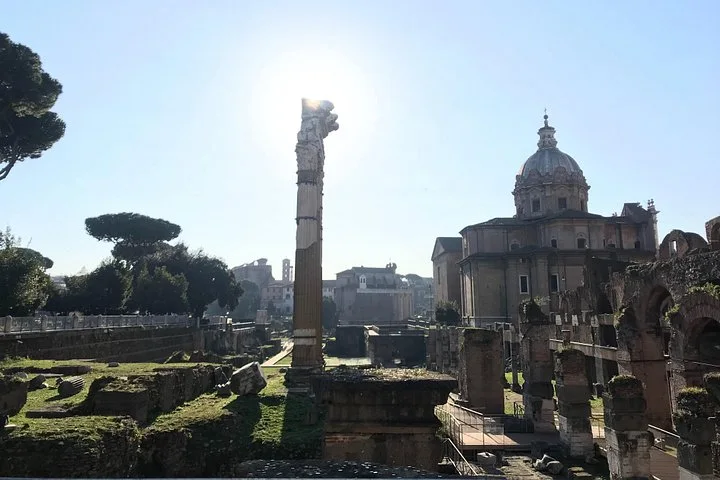 Ancient Forum columns beneath umbrella pines