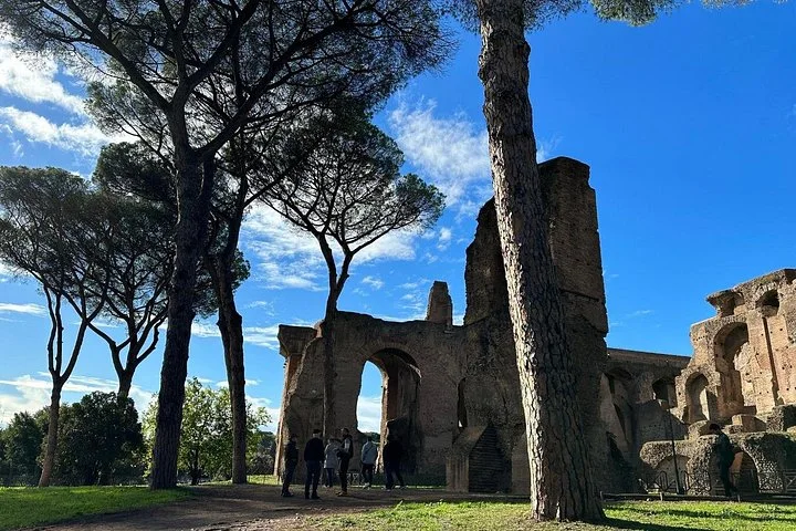 Umbrella pines beside ancient Palatine arches
