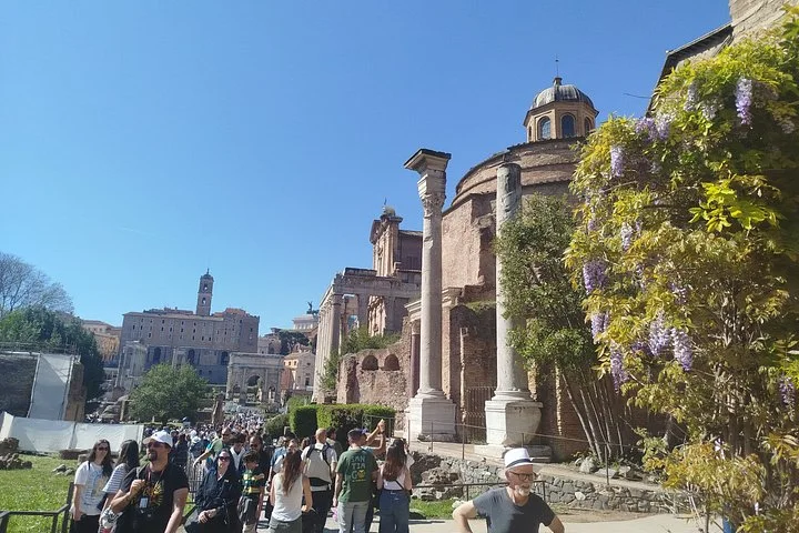 A Roman Forum temple and its visiting crowds